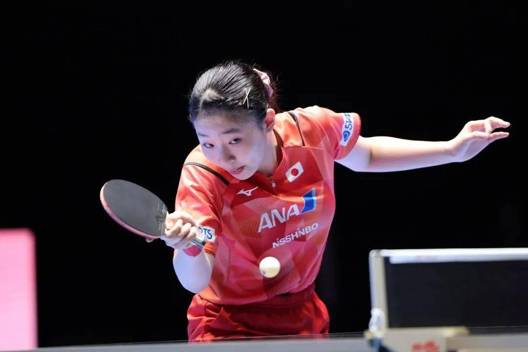 維迪奇的職 維迪奇的職