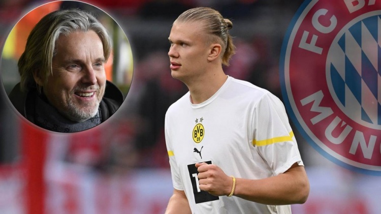 训练与数据 训练与数据